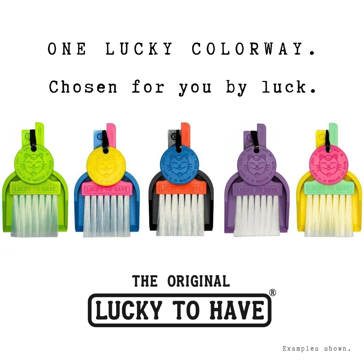 Lucky Surprise