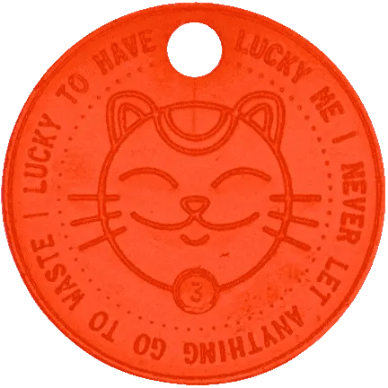 Close-up of the LUCKY TO HAVE® Lucky Coin: a color-changing GIF showing the stylish shopping cart token and lucky charm – the perfect addition to any mini broom and pan set.