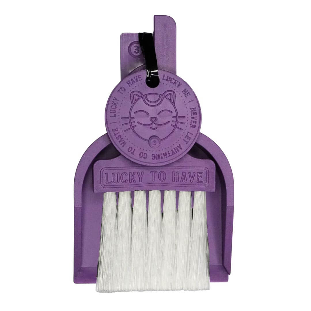 LUCKY TO HAVE® Lucky Moonbroom dustpan and brush set in purple: Complete kit including broom, shovel, and Lucky Coin on a white background.