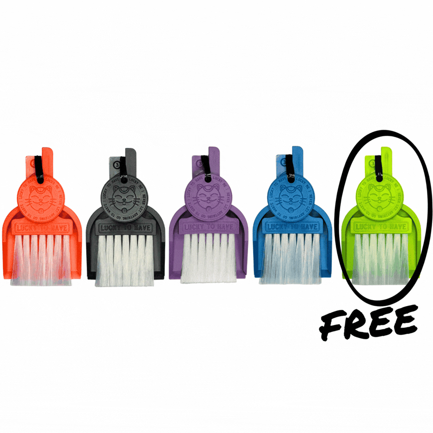 LUCKY TO HAVE® 4+1 free bundle: animation showing all 10 colour mixes of the world’s smallest broom set, with five sets for the price of four.